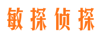 卢龙调查事务所